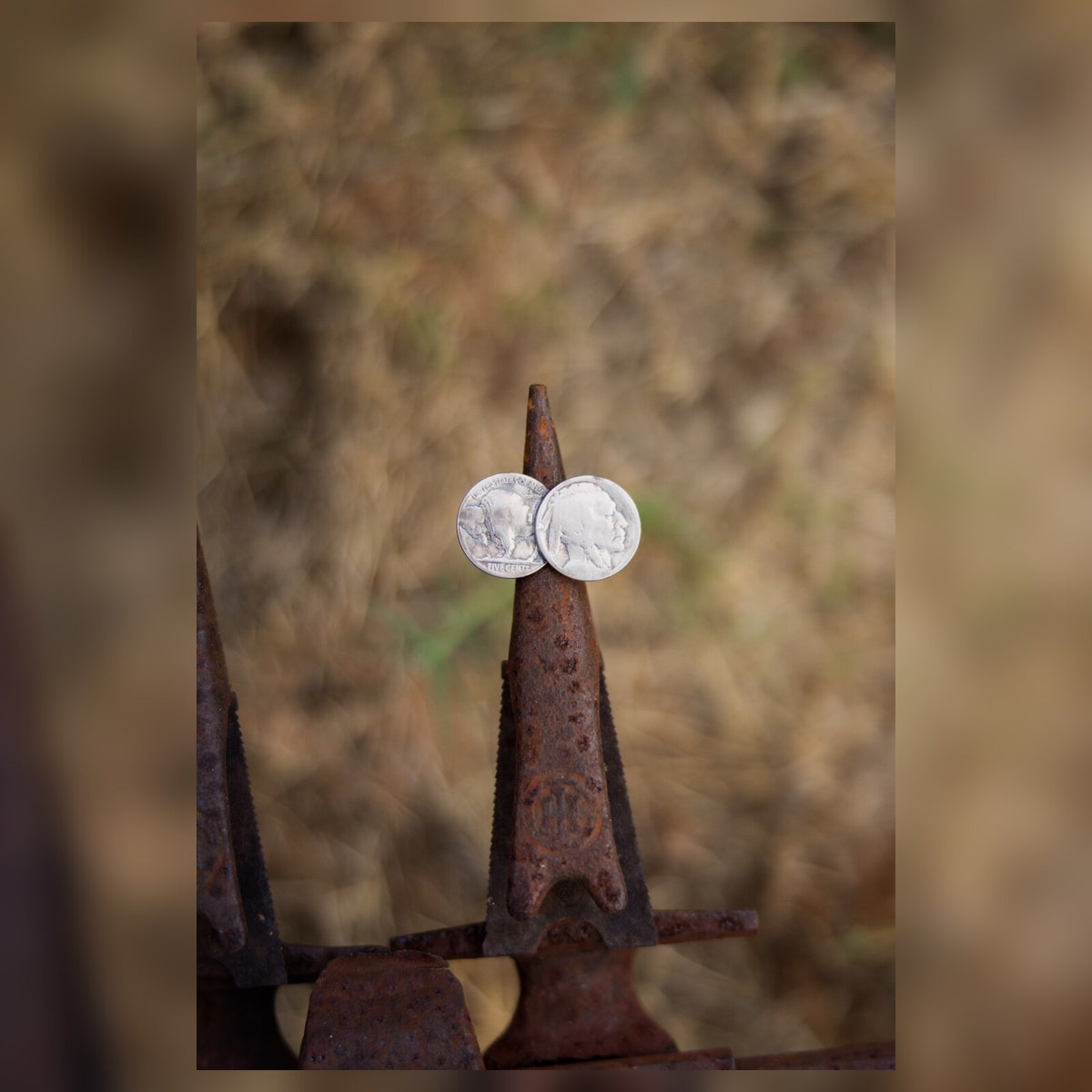 The Buffalo Trail Ring | Size 8