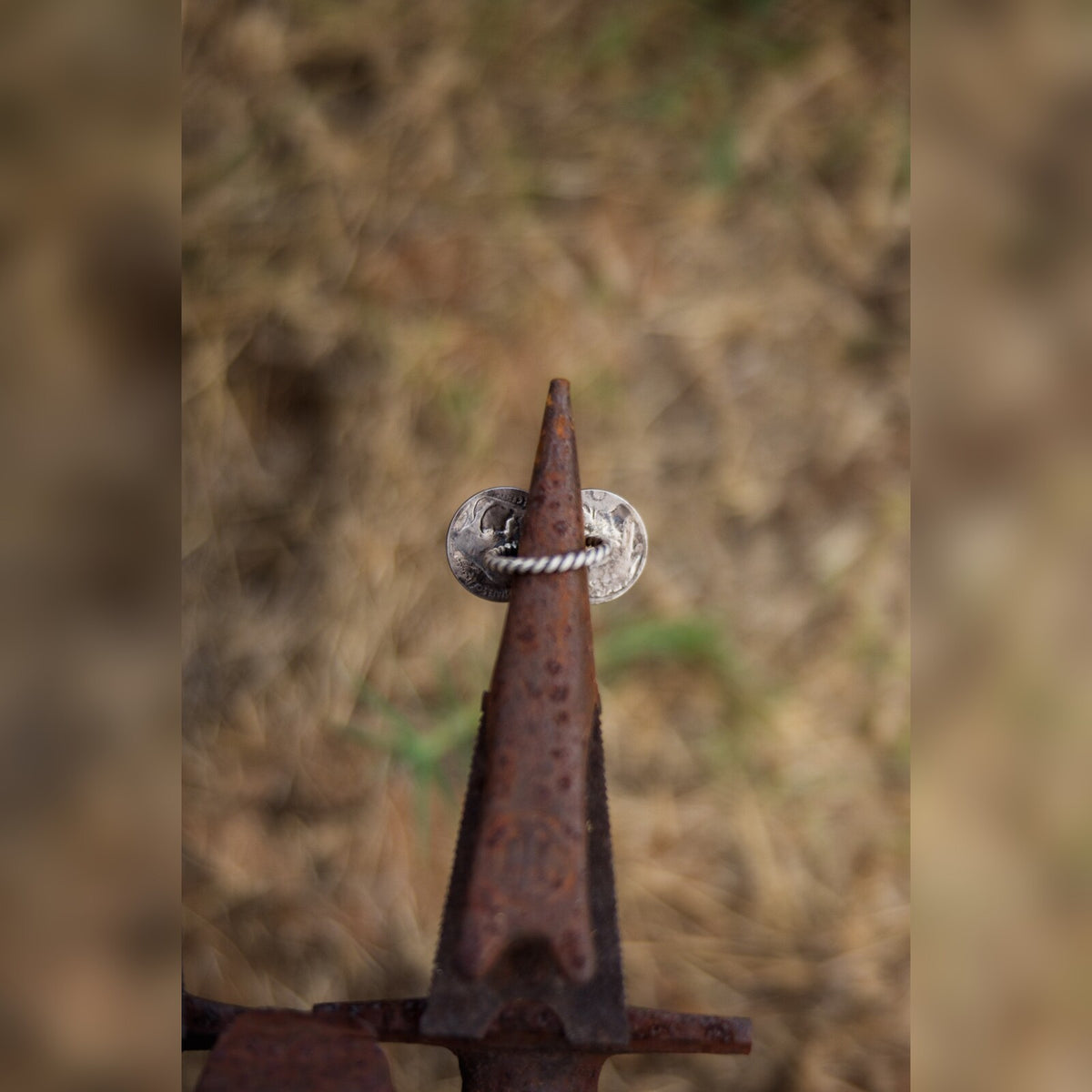 The Buffalo Trail Ring | Size 8