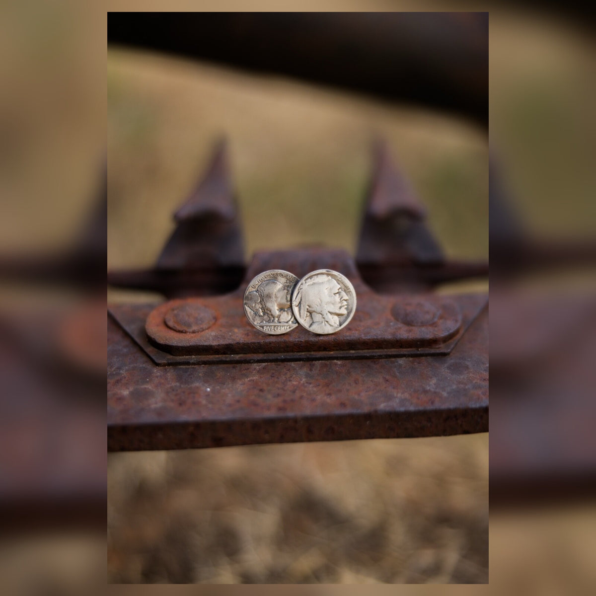 The Buffalo Trail Ring | Size 8