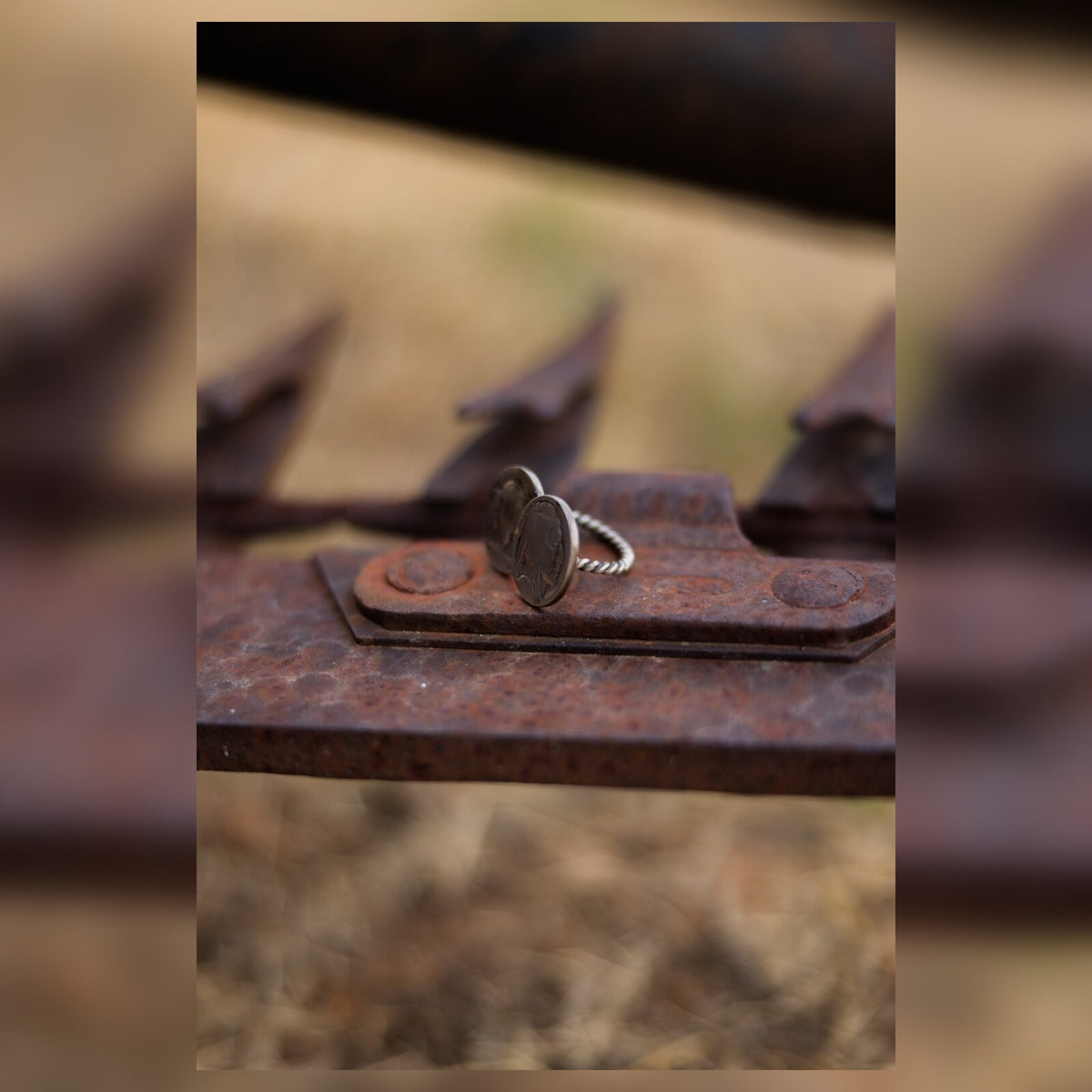 The Buffalo Trail Ring | Size 8